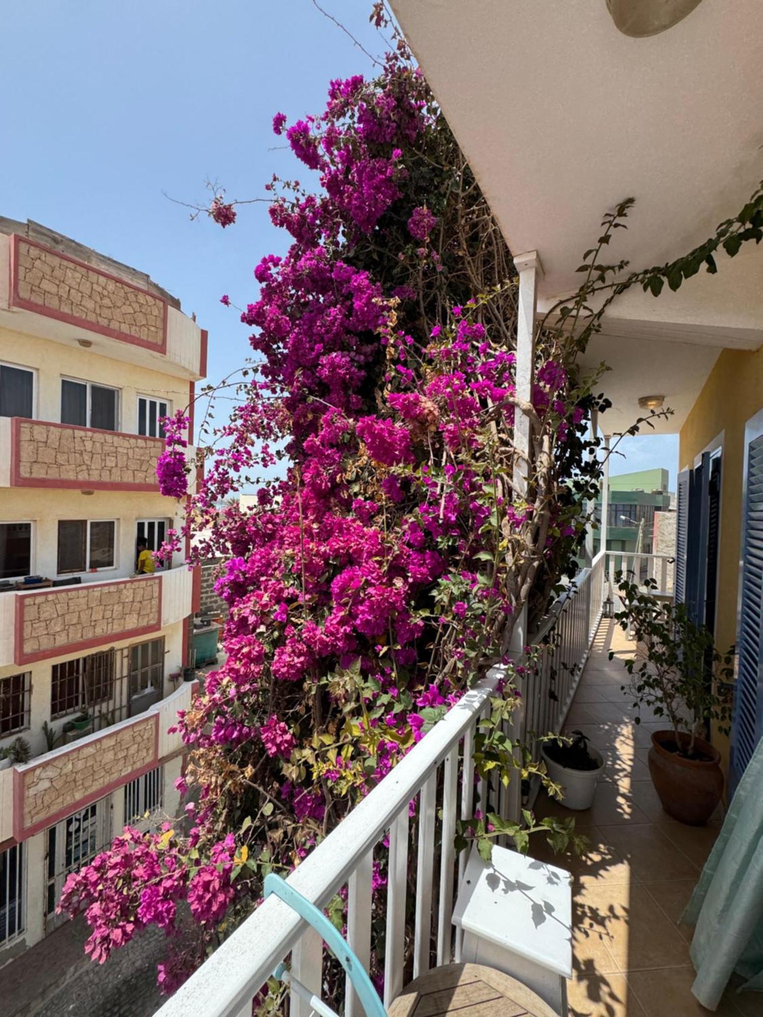 B&B Mi Ma Bo, Sal Rei, Boa Vista, Cape Verde, Free Wi-Fi Exteriör bild